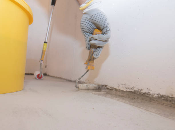 Best Pest Prevention Services  in Bloomingdale, IL